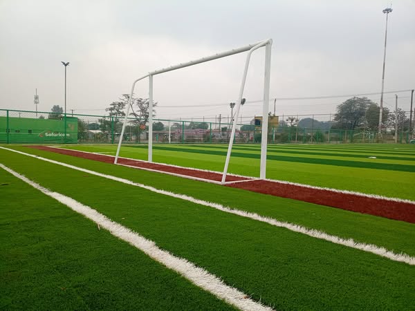 Football pitch Image